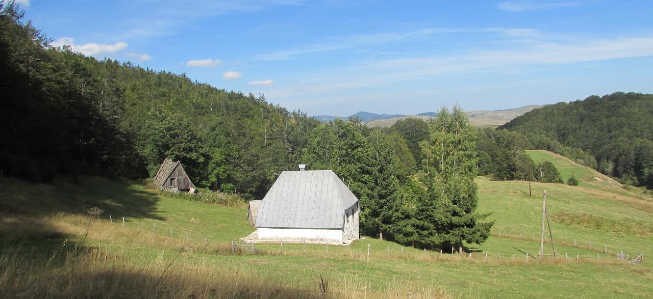 Veliko hvala našem čika Radetu